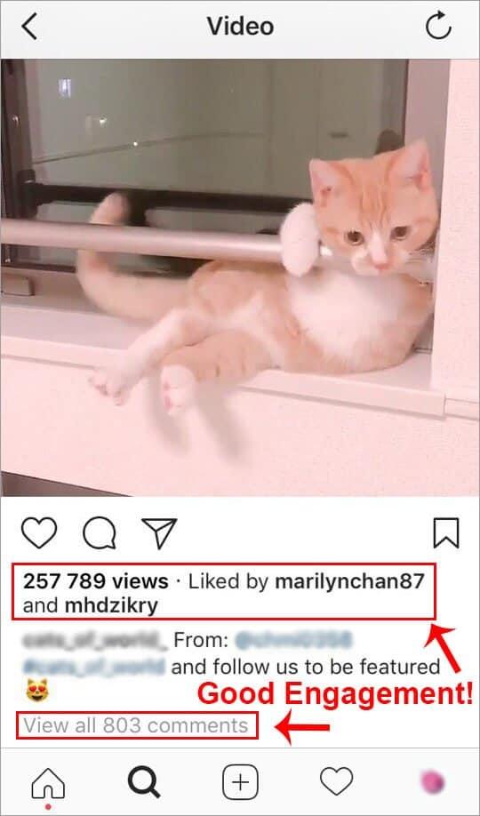 Quality of Instagram engagement