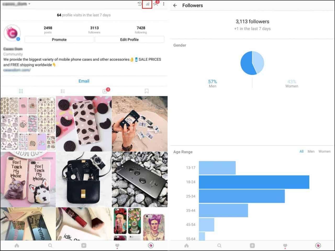 Instagram Page Insights