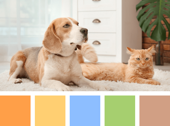 What colors should you use for a pet supplies website?