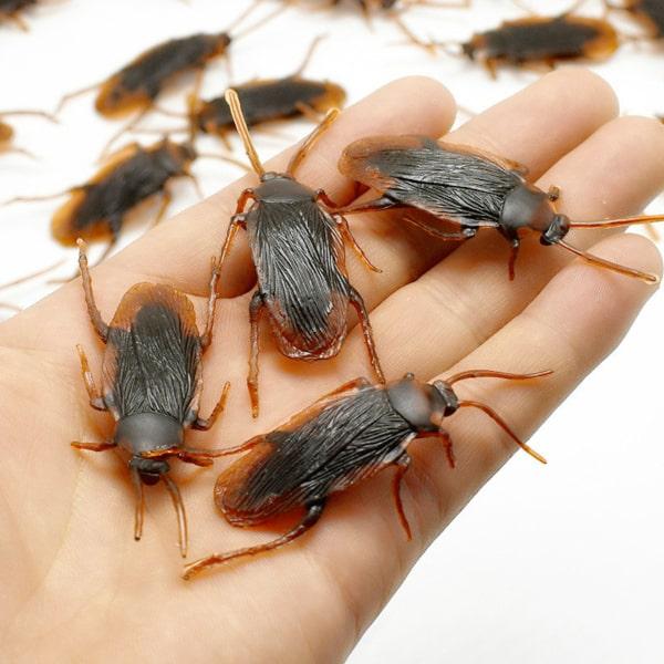 Small-Cockroaches.jpg