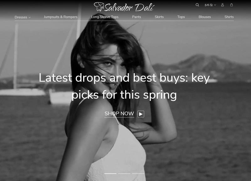 a picture showing the homepage of one of AliDropship themes