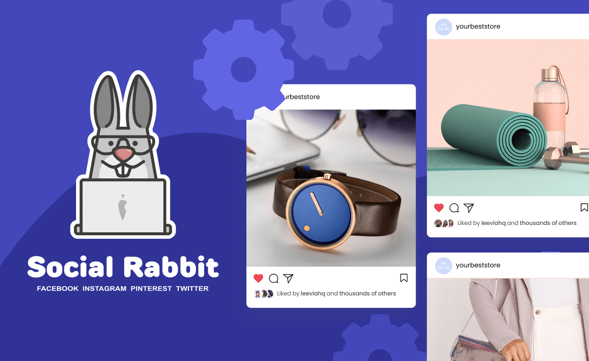 How To Schedule Instagram Posts: Social Rabbit Plugin