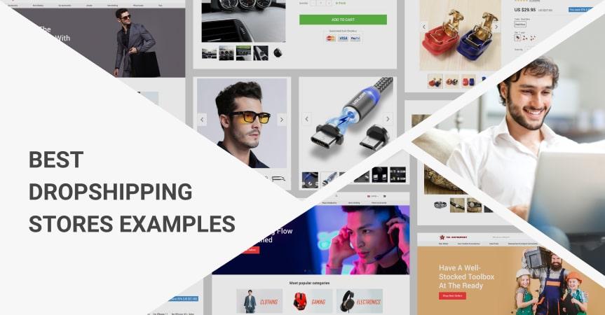 Dropshipping Examples of successful stores