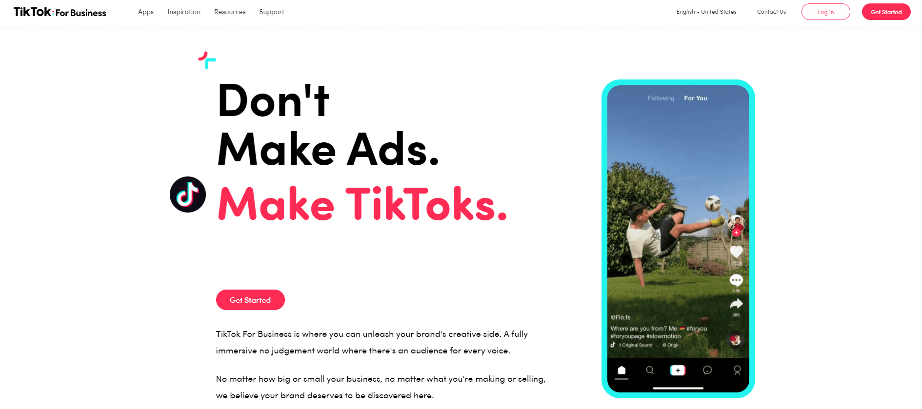 TikTok main message