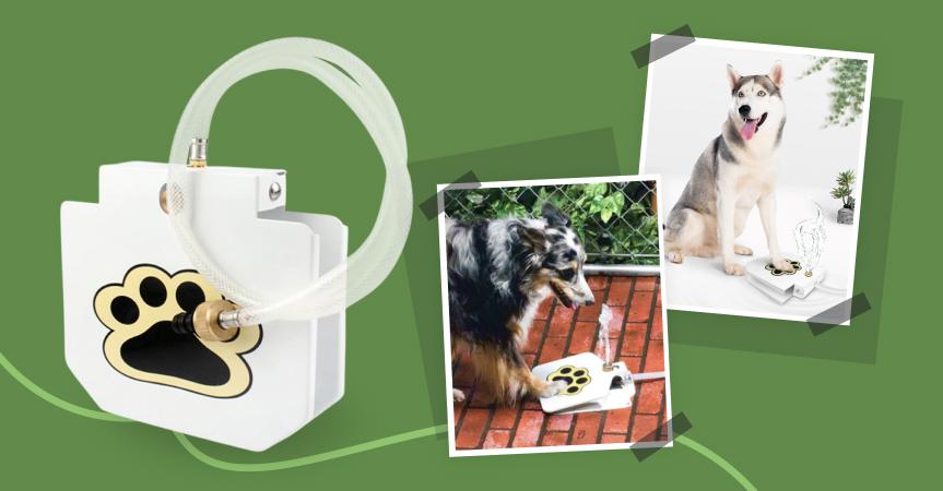 Automatic outdoor dog fountain, one of the best dropshipping products to start selling this week