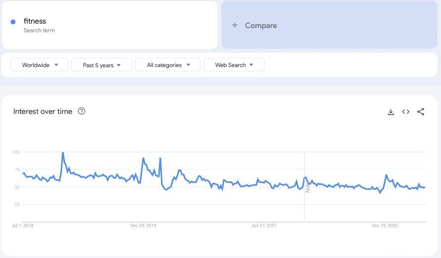 Niche Products To Sell In Your Dropshipping Store In 2023: fitness google trends