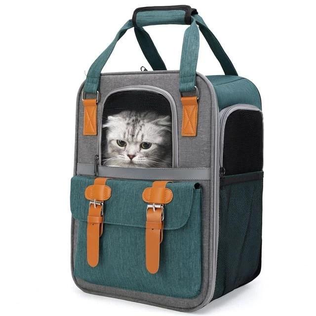 photo of a cat in a backpack