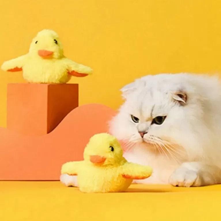 photo of a duck toy for cats