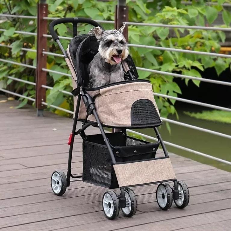 photo of a dog in a stroller