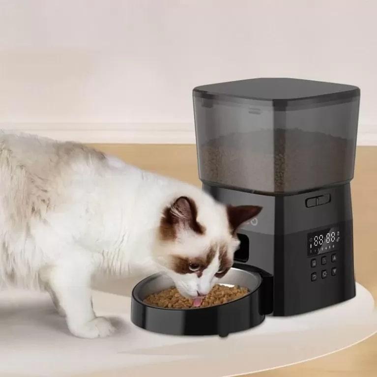 photo of an automatic cat feeder
