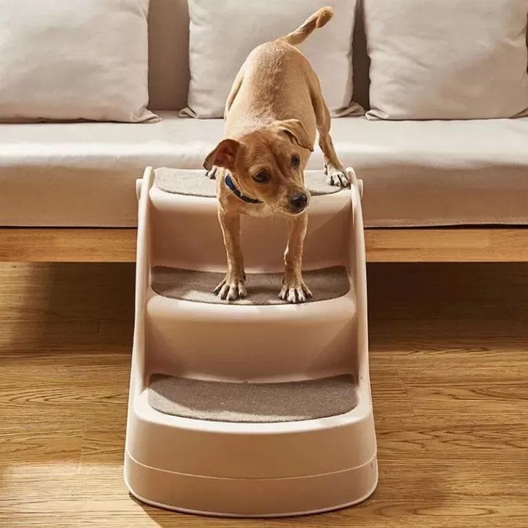 photo of foldable pet stairs