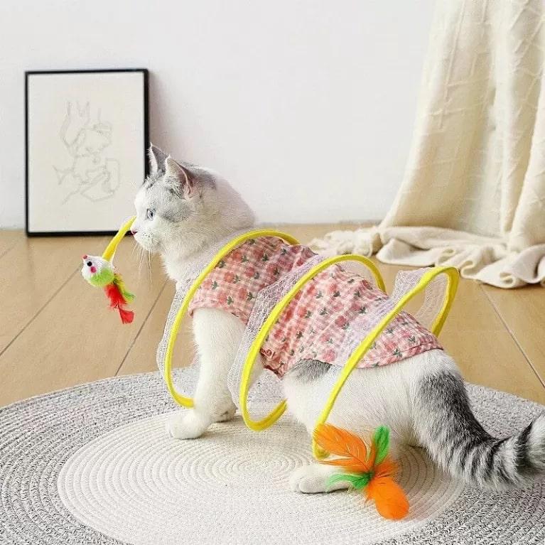 photo of a cat in a tunnel toy