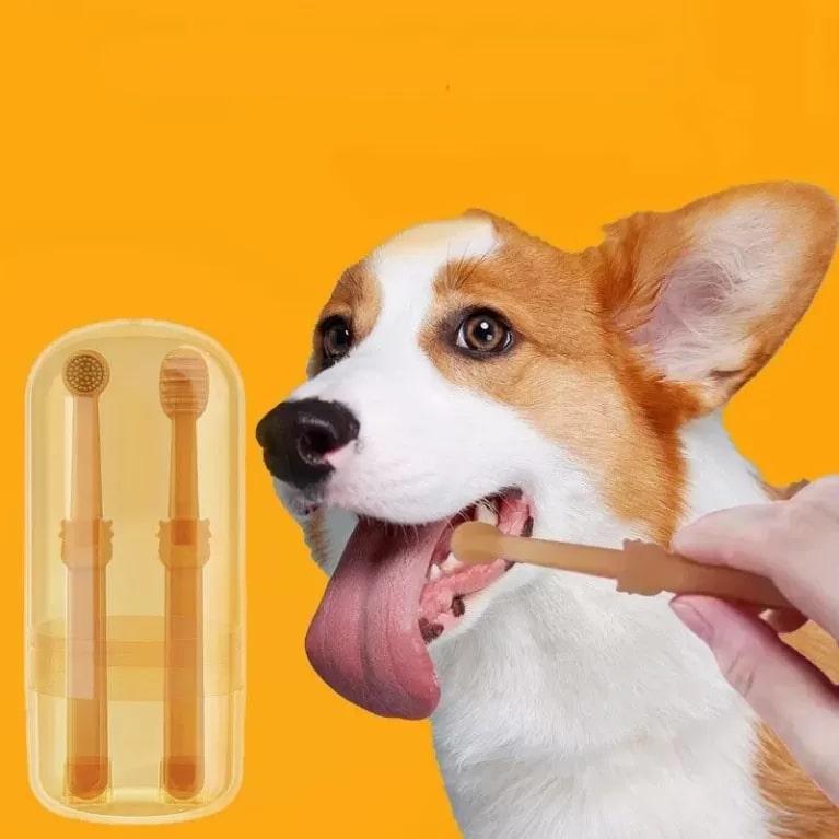 photo of a dog with a toothbrush