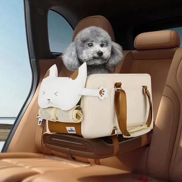 photo of a dog in a car