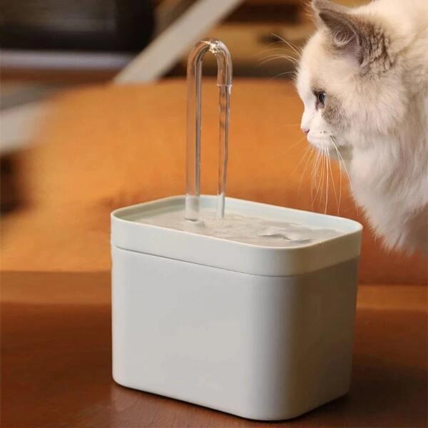 photo of a pet water fountain