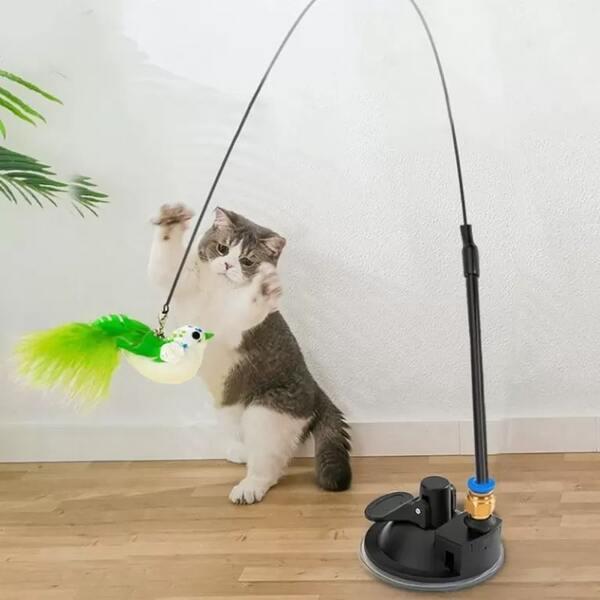 photo of a cat bird toy