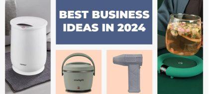 NICHES-AND-PRODUCTS_Best-business-ideas-in-2024_02-min-420x190.jpg