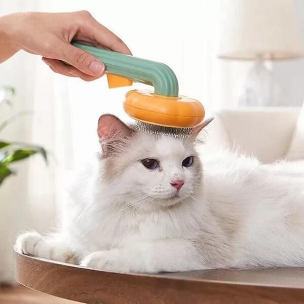 photo of a cat being groomed