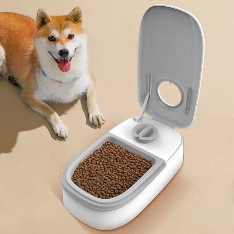 photo of an automatic dog feeder