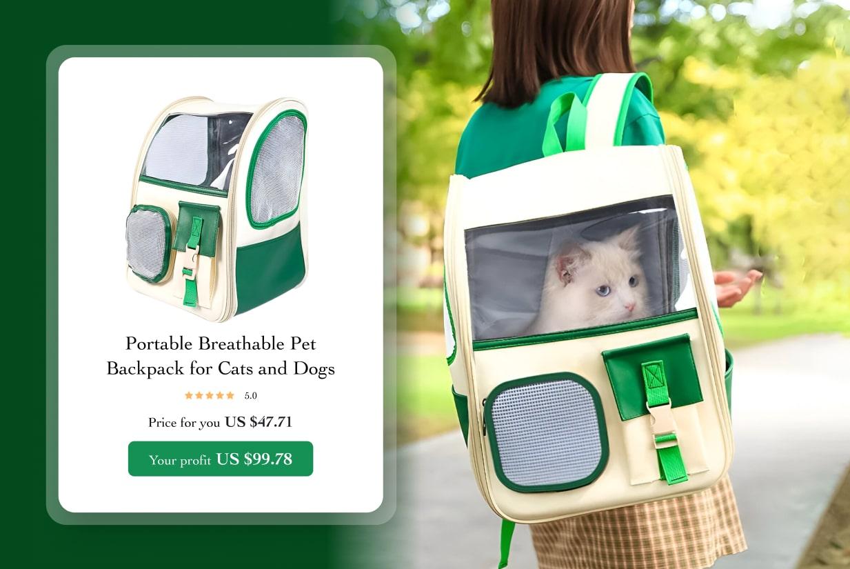 Pet backpack