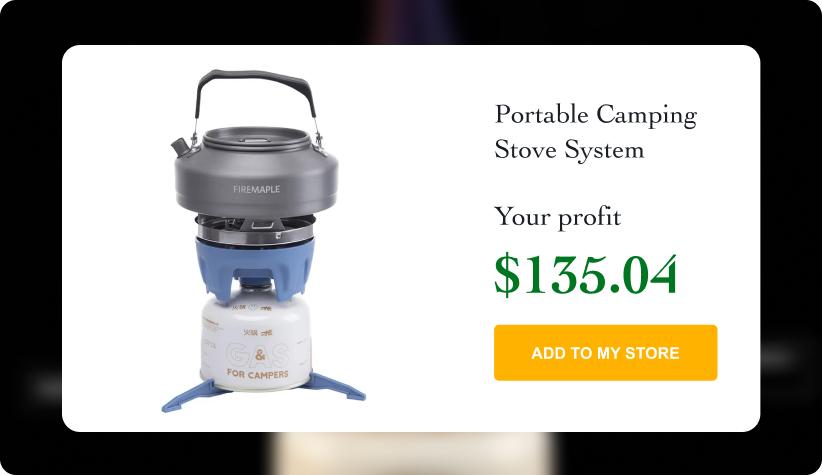 Portable Camping Stove System