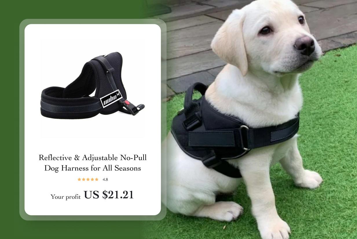 Reflective & Adjustable No-Pull Dog Harness for All Seasons