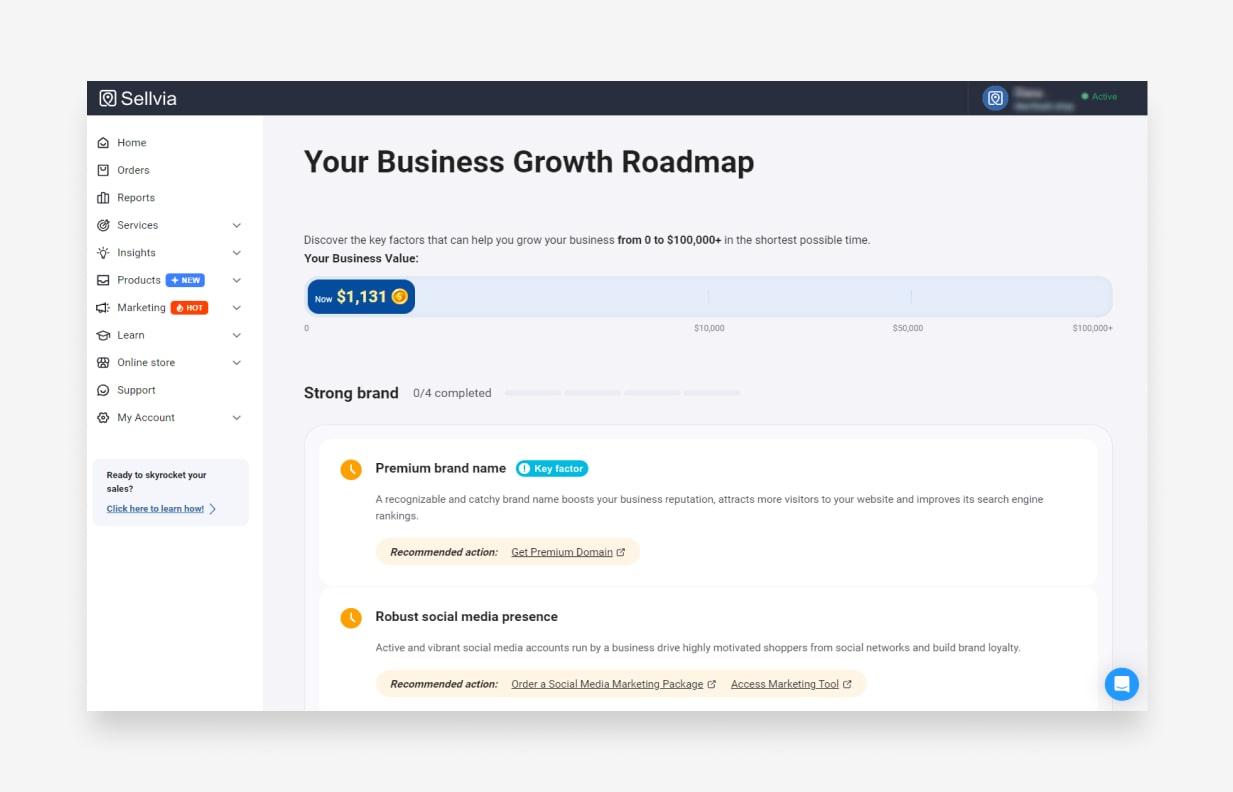 sellvia business growth roadmap