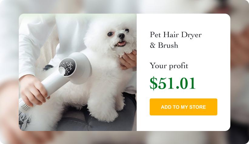 Professional Pet Hair Dryer & Brush