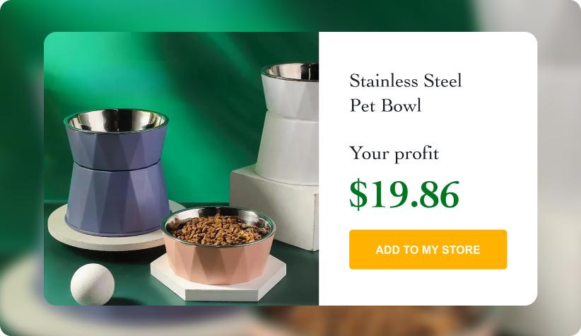 Stainless Steel Elevated Pet Bowl