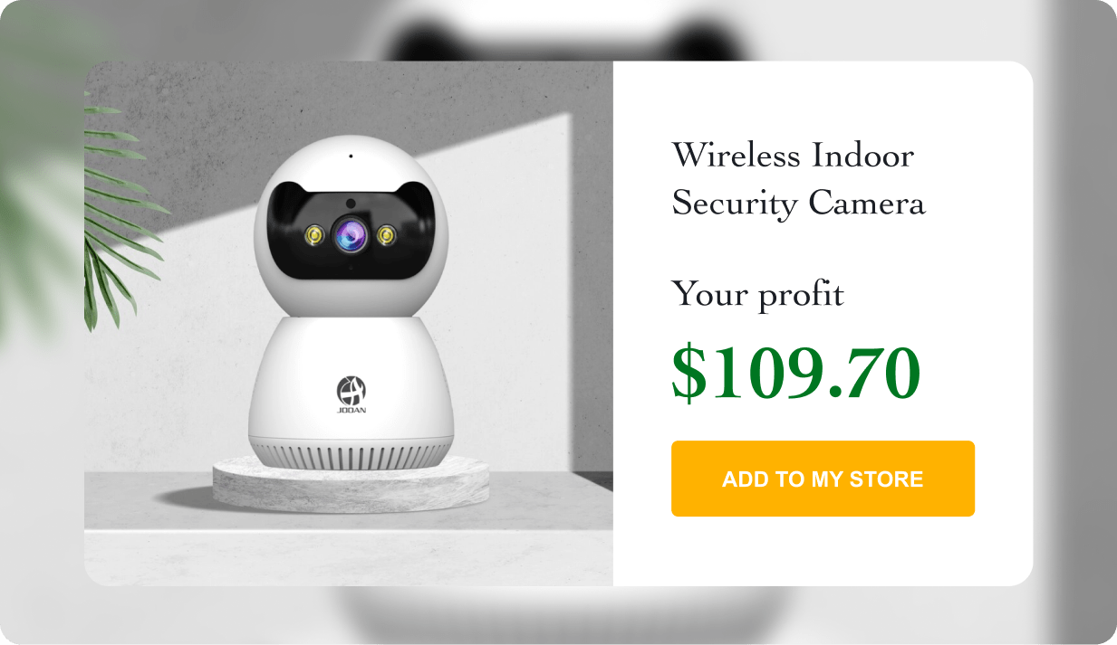 Wireless Indoor Security Camera