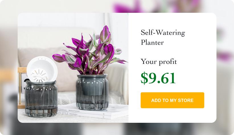 Self-Watering Hydroponic Planter